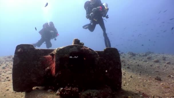 Scuba divers swimming explore shipwreck Salem Express deep underwater Red sea. — Stock Video