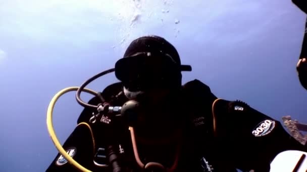 Scuba scafandri înot explora naufragiu Salem Express adânc sub apă . — Videoclip de stoc