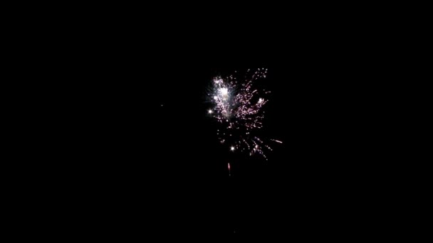 Flash di brillante parte colorata di fuochi d'artificio su sfondo nero . — Video Stock