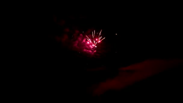 Blowing up of fireworks on black background. — Stock Video