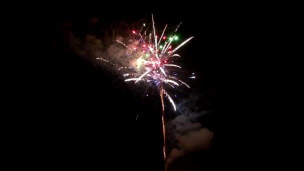 Explosión de fuegos artificiales sobre fondo negro . — Vídeos de Stock