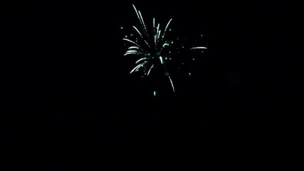 Élément de feu d'artifice multicolore sur fond noir .