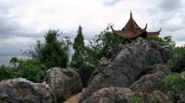 Fuxian Gölü kıyısındaki bitkiler dağ ve sisin arka planında.