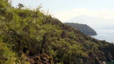 Güneş ışınları, deniz suyunun yüzeyinde, kıyı dağlarında yeşil ağaçlarla oynar..