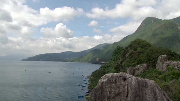 Pflanzen an der Küste des Fuxian-Sees im Hintergrund Landschaft aus Berg und Nebel. — Stockvideo