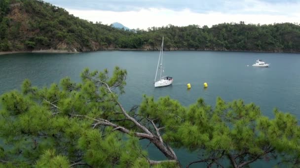 Λευκό γιοτ με τους ανθρώπους κολυμπά στον κόλπο. — Αρχείο Βίντεο