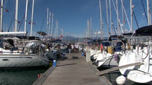 Les gens dans le port de bateaux de plaisance, bateaux et yachts. — Video