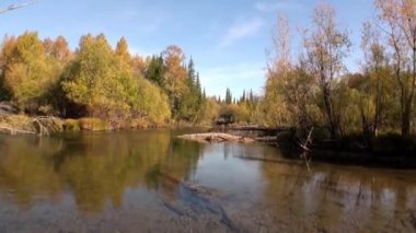 Sibirya Rusya 'nın ıssız taygasında Lena Nehri kıyıları.