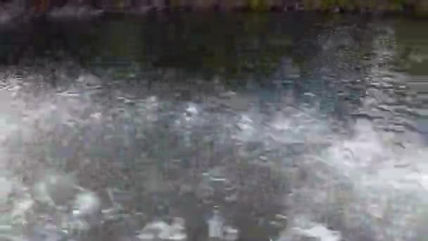 Motorboot schneidet Wasseroberfläche auf Lenafluss in Sibirien von Russland. — Stockvideo