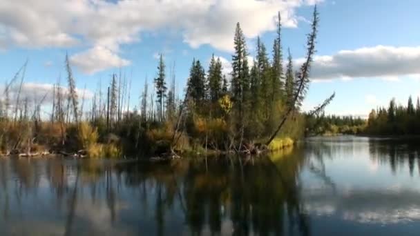 Shores of Lena River in uninhabited taiga of Siberia Russia. — Stock Video