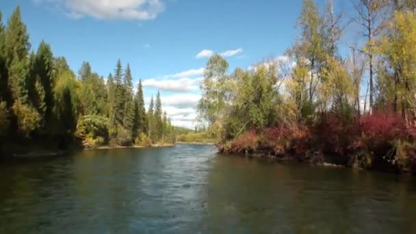 Sibirya 'daki hareket halindeki motorlu tekneden Lena Nehri' nin doğal manzarası. — Stok video