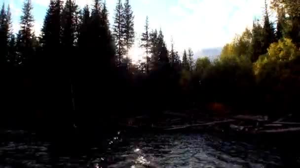 Красивая природа Лены в необитаемой тайге Сибири Россия . — стоковое видео