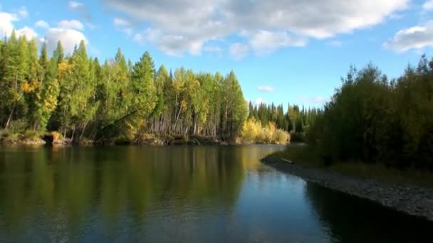 Sibirya Rusya 'nın ıssız taygasında Lena Nehri' nin güzel doğası.. — Stok video