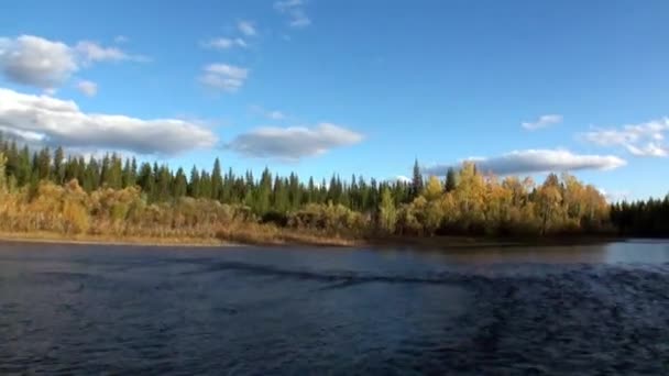 Vacker natur av Lena River i obebodda taiga Sibirien Ryssland. — Stockvideo