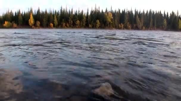 Průhledná průzračná voda z řeky Leny na Sibiři. — Stock video