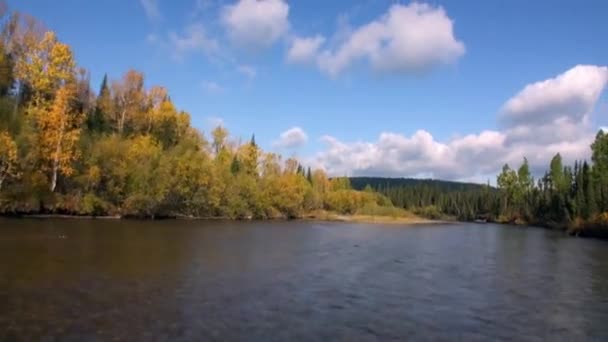 Річка в незаселеній тайзі Сибіру Росії. — стокове відео