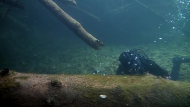 Tree underwater in sunlight in water of Lena River in Siberia of Russia. — Stock Video