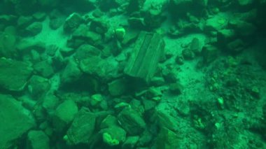 Baykal Gölü 'nün soğuk sularının altında şeffaf buzdan oluşan sualtı manzarası.