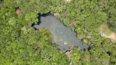 İnsansız hava aracı videosu oldukça şeffaf bir tatlı su sandığı..