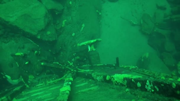 Paisaje submarino de hielo transparente transparente bajo el agua fría del lago Baikal. — Vídeo de stock