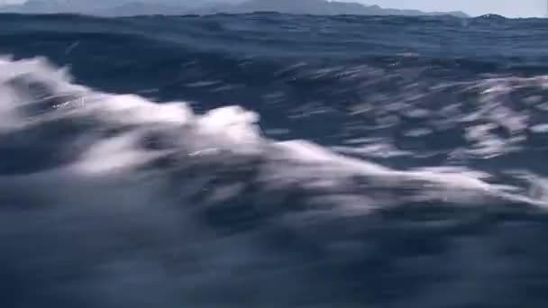 Espuma, olas y agua en la cámara durante el movimiento del yate — Vídeo de stock