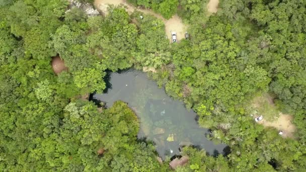 Aerial view landscape pretty transparent freshwater cenote. — Stock Video
