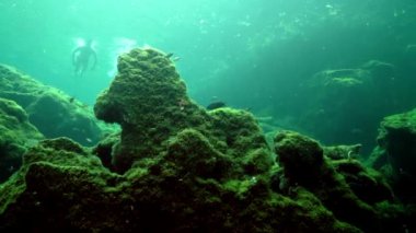 Yucatan Meksika 'nın sualtı mağaraları.
