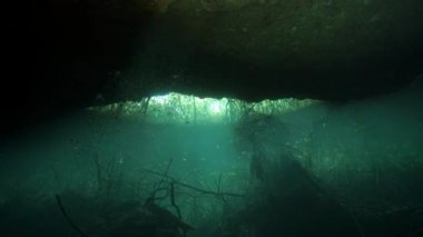 Yucatan Meksika 'nın sualtı mağaraları.