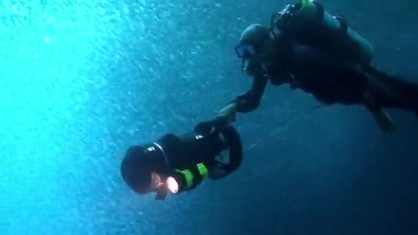 Diver with underwater scooter in school of fish underwater Philippine Sea. — Stock Video