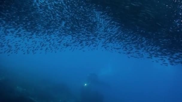 Taucher mit Unterwasser-Roller in Fischschule unter philippinischem Meer. — Stockvideo