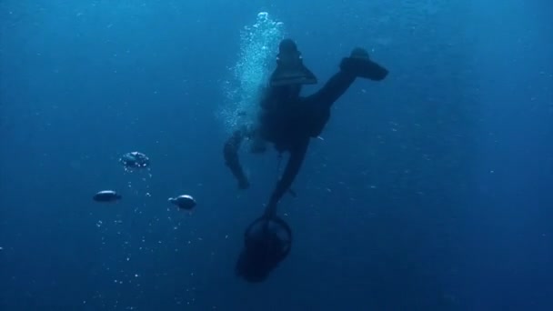 Diver with underwater scooter in school of fish underwater Philippine Sea. — Stock Video