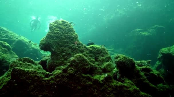 Podwodne jaskinie Yucatan Meksyk cenotes. — Wideo stockowe
