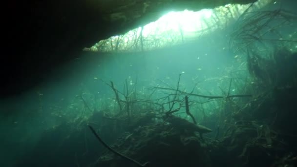 Cavernas subaquáticas de Yucatan México cenotes. — Vídeo de Stock