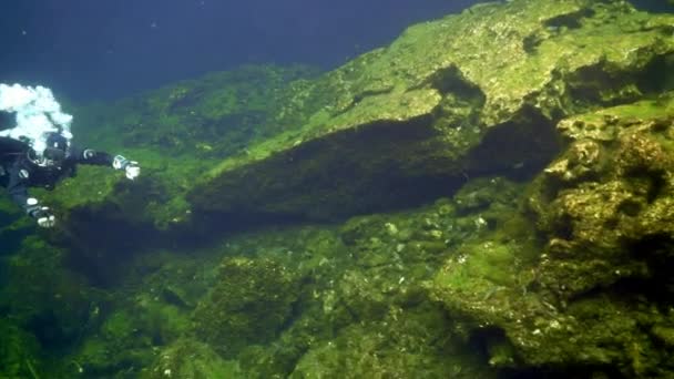Nurkowie w podwodnych jaskiniach Yucatan Meksyk cenotes. — Wideo stockowe
