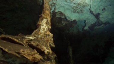 Yucatan Meksika 'nın sualtı mağaralarına dalış yapıyorlar..