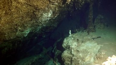 Yucatan Meksika 'da mağara dalışı.