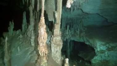 Yucatan Meksika 'nın sualtı mağaralarına dalış yapıyorlar..