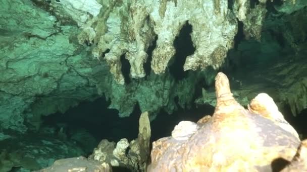 Jaskinia nurkowanie w podwodnych jaskiniach Yucatan Meksyk cenotes. — Wideo stockowe