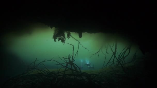 Cave diving subacqueo in Yucatan Messico cenote. — Video Stock