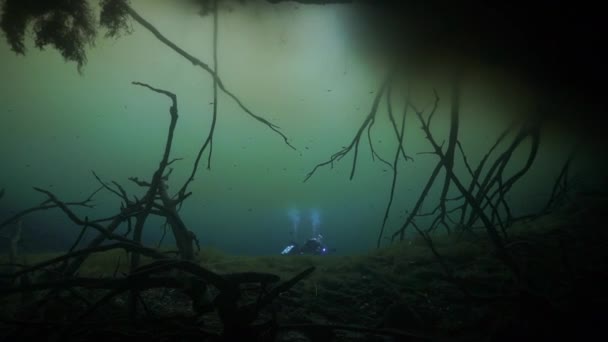 Buceo de cuevas bajo el agua en Yucatán México cenotes. — Vídeo de stock