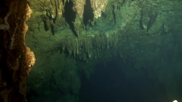 Grottdykning under vattnet i Yucatan Mexico cenotes. — Stockvideo