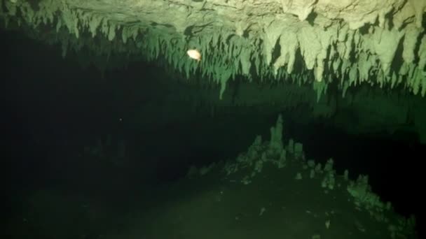 Buceo en cuevas submarinas de Yucatán México cenotes. — Vídeo de stock