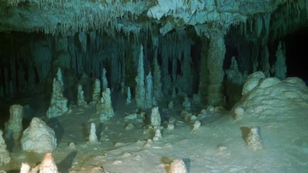 ユカタンメキシコの水中洞窟での洞窟ダイビングは注目します. — ストック動画