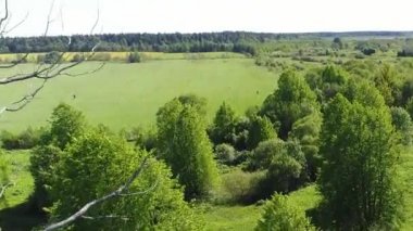 Yeşil otlaklarla çevrili, büyüleyici manzara manzaralı, temiz suyun ayna yüzeyi ile bozkır nehrinin inanılmaz video görüntüleri. Açık hava iklimi kavramı.