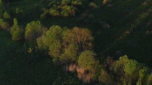 Divoké prostředí lesní řeky s průzračnou vodou obklopenou zelenými pastvinami s nádhernými výhledy na krajinu. Koncept podnebí venkovní příroda. — Stock video