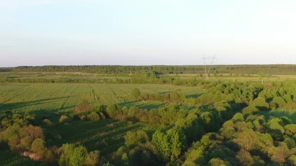 Ambiente salvaje de bosque río con transparente lleno de agua dulce rodeado de verdes pastos con impresionantes vistas al paisaje cinematográfico. Concepto clima naturaleza al aire libre. — Vídeo de stock