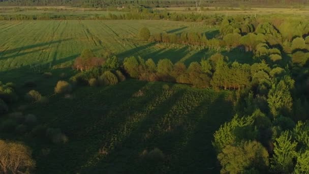 Dzikie środowisko leśnej rzeki z przezroczystą wodą, otoczone zielonymi pastwiskami z przepięknymi widokami na krajobraz. Concept climate outdoor nature. — Wideo stockowe