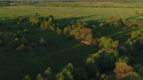 Ambiente salvaje de bosque río con transparente lleno de agua dulce rodeado de verdes pastos con impresionantes vistas al paisaje cinematográfico. Concepto clima naturaleza al aire libre. — Vídeos de Stock