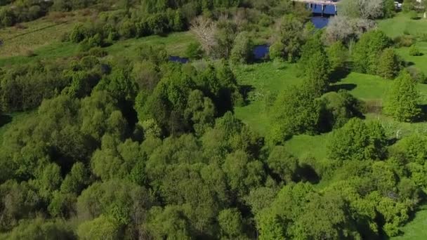 Uma área montanhosa de pântanos florestais cercada por densa floresta verde com deslumbrantes vistas cinemáticas da paisagem. Conceito clima natureza exterior . — Vídeo de Stock