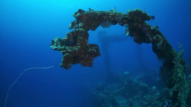 Coral on wreck underwater on seabed of Pacific Ocean on Chuuk Islands. — Stock Video